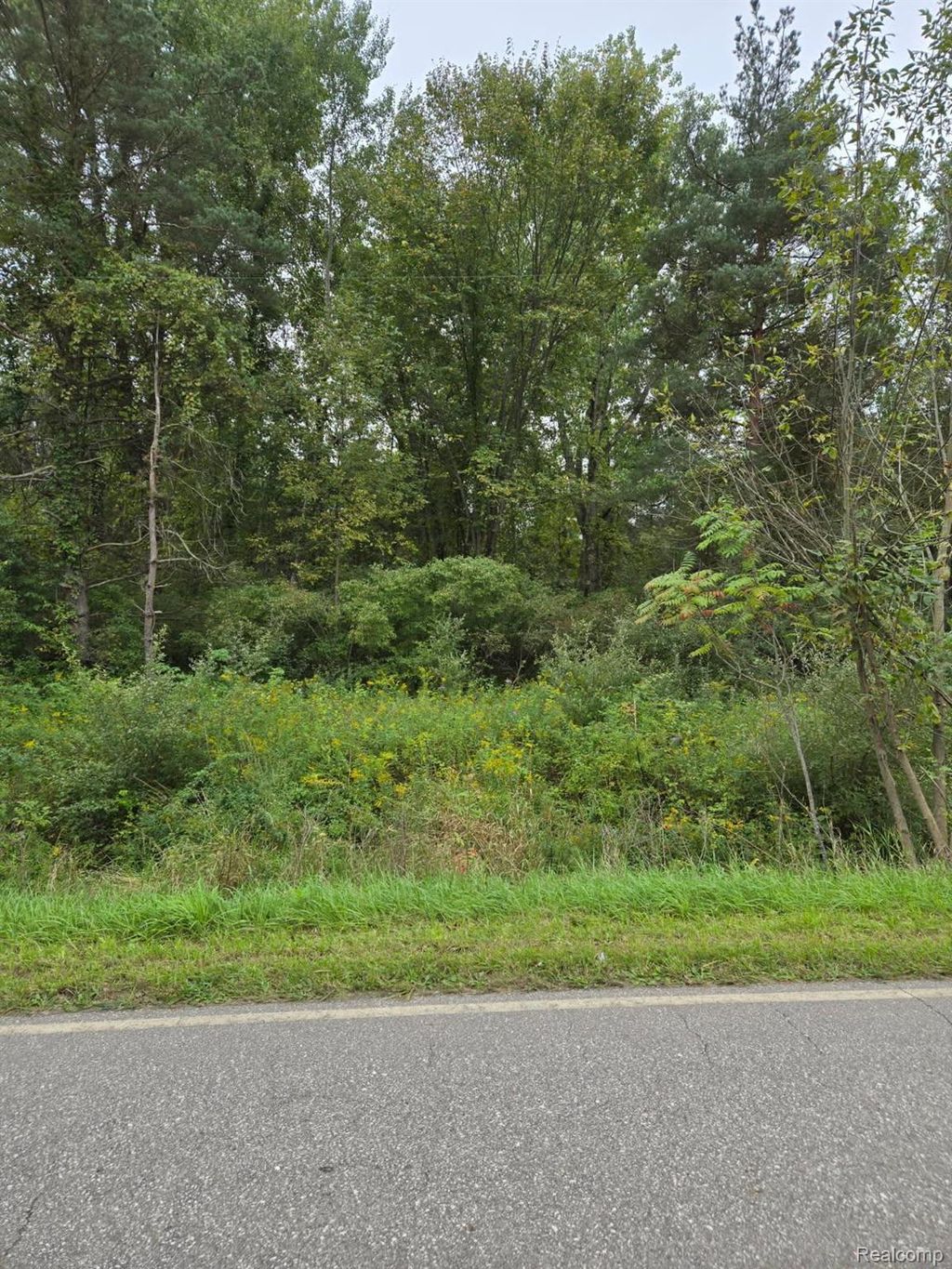 V/l Shay Lake Rd, Silverwood
