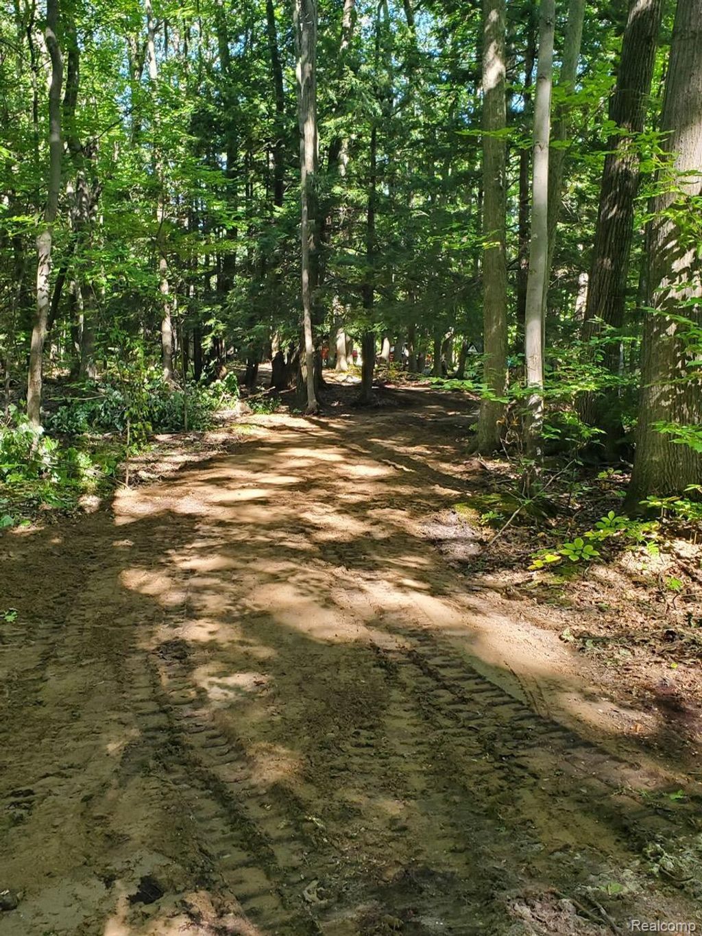 8204 Partridge Woods, Elk Rapids