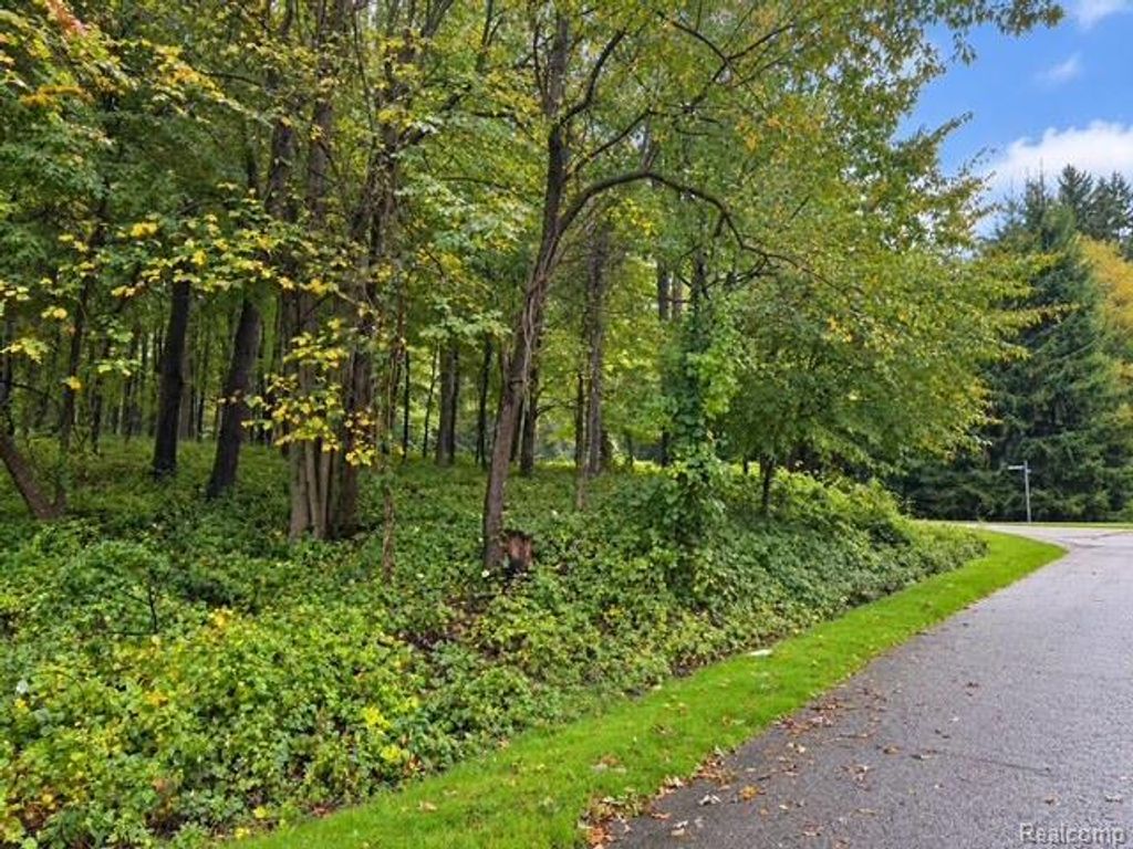 Fieldstone Ridge, Clarkston