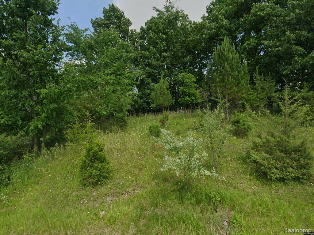 1465 Mcmillan Rd, Owosso