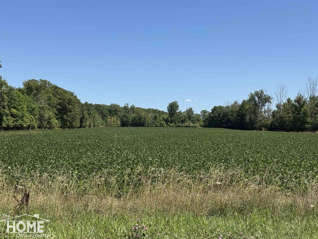 Vacant Webster Rd, Mt. Morris township