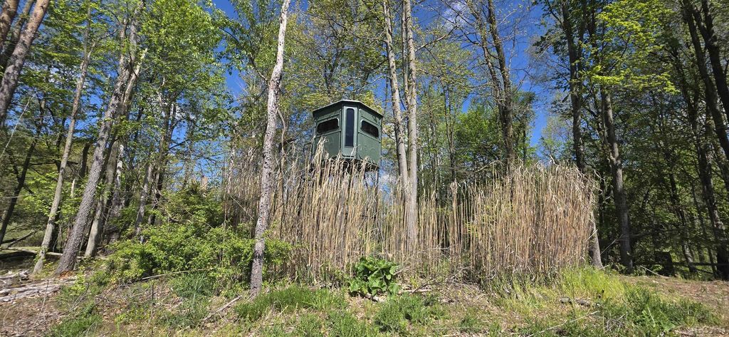 15252 27 Mile Rd, Sheridan township