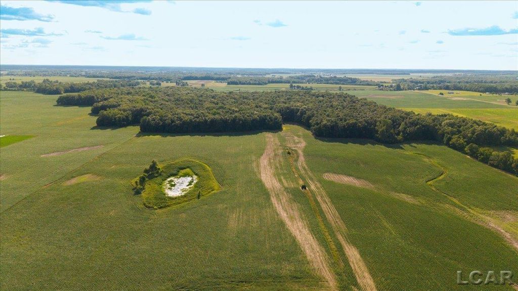 V/l S Pittsford Rd, Ransom township