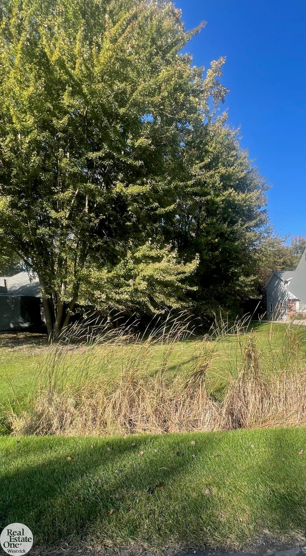 0 Urban, East China township