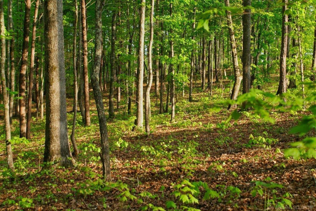 11261 21 Mile, Shelby charter township