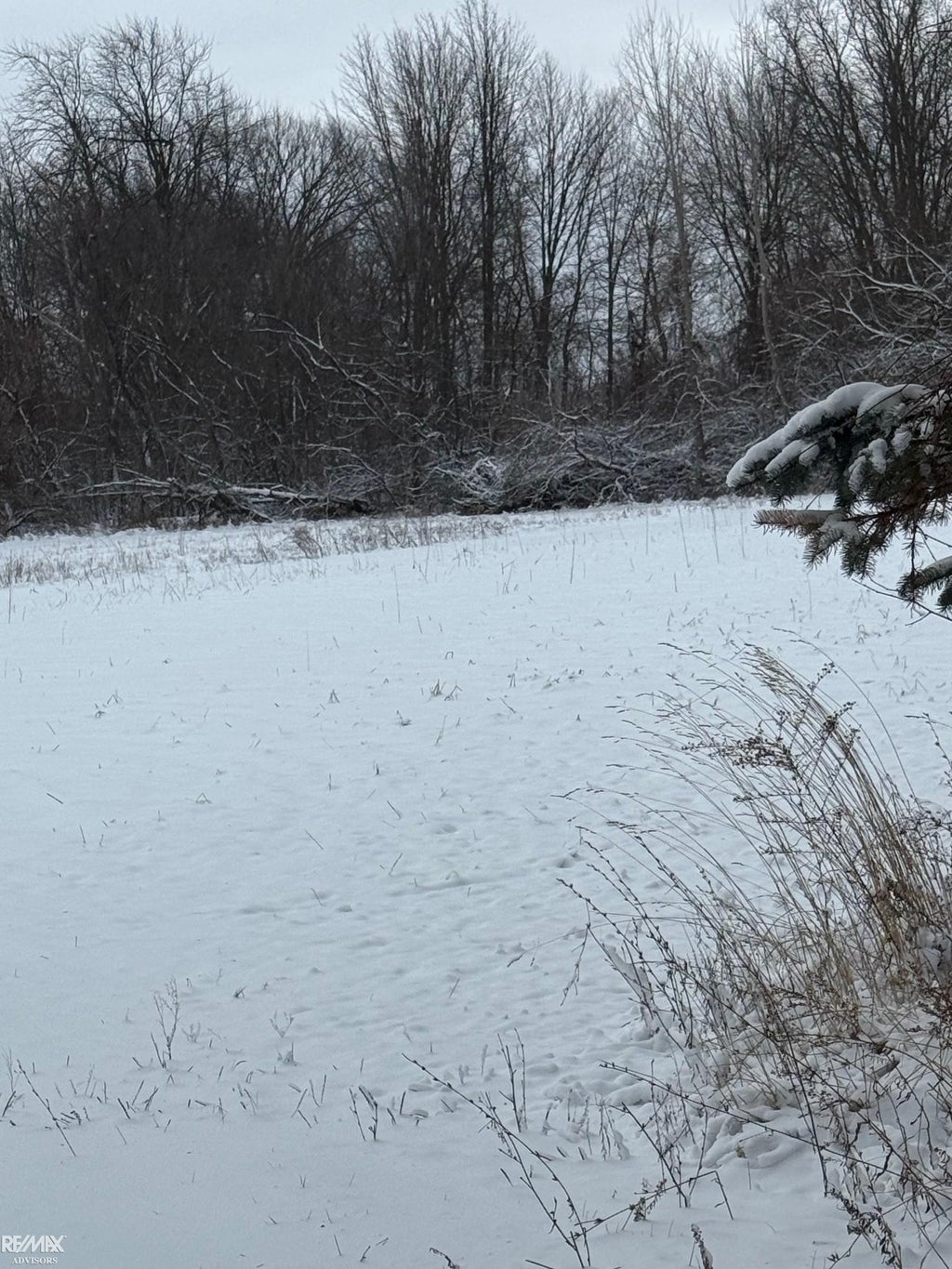 00 Alma St, Chesterfield township