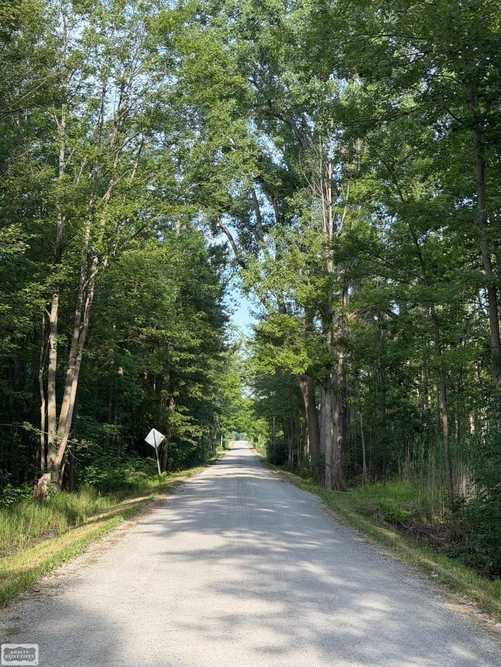 Sullivan Rd, Emmett township