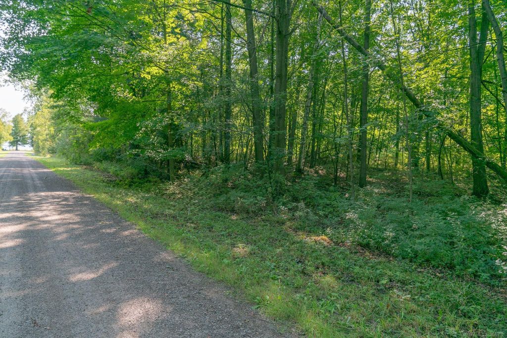 00 Schott Rd, Sand Beach township