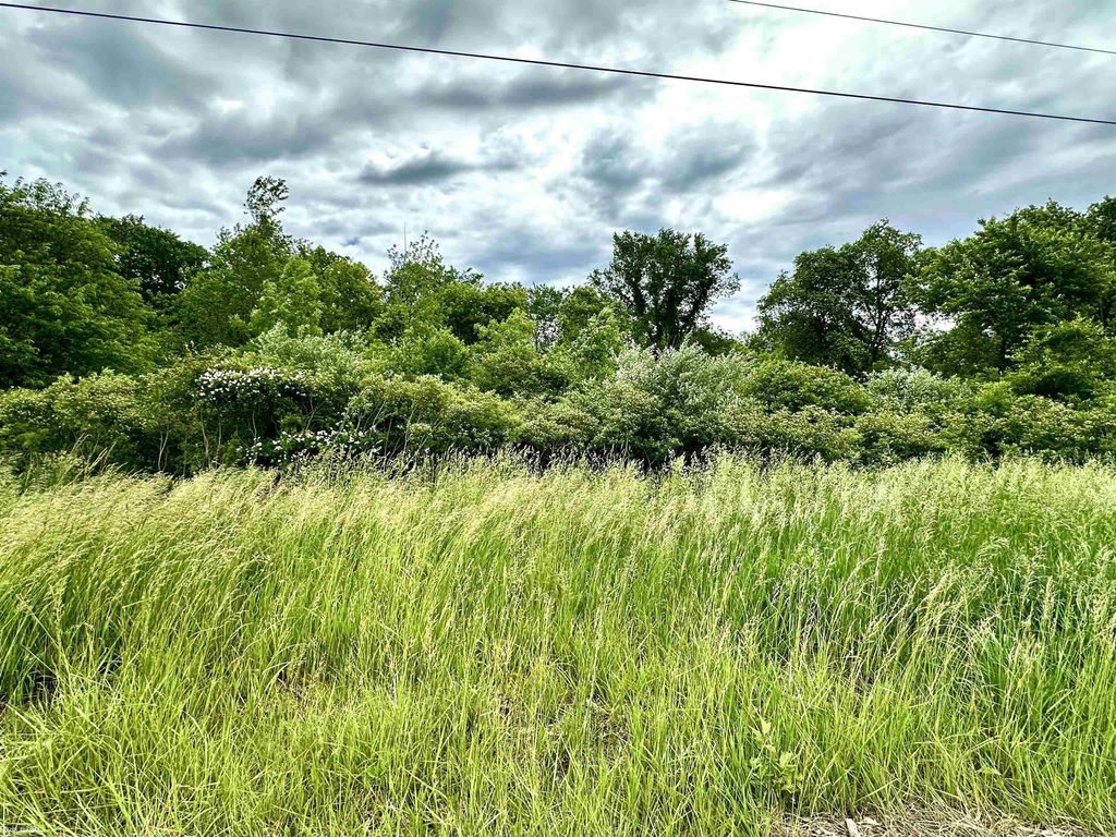 Vl Braidwood Parcel 4 Rd, Riley township