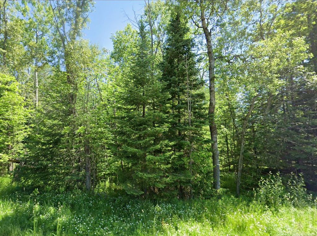 0 Sawyer Ln, Rose township
