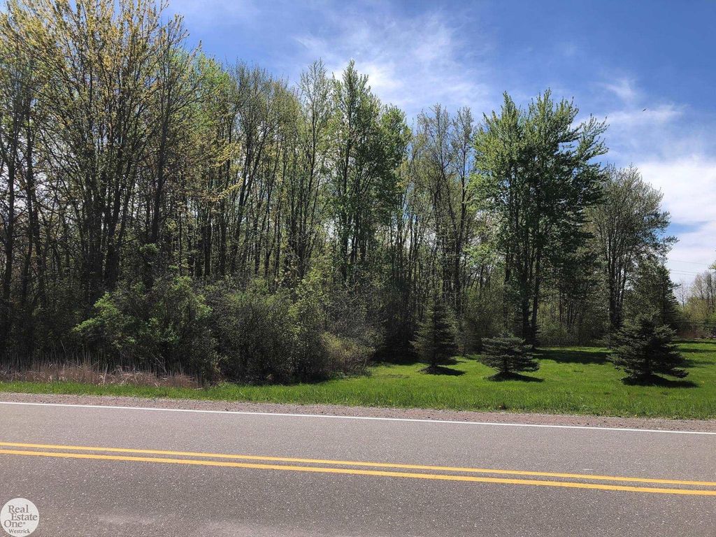 0 Meisner Rd, China township