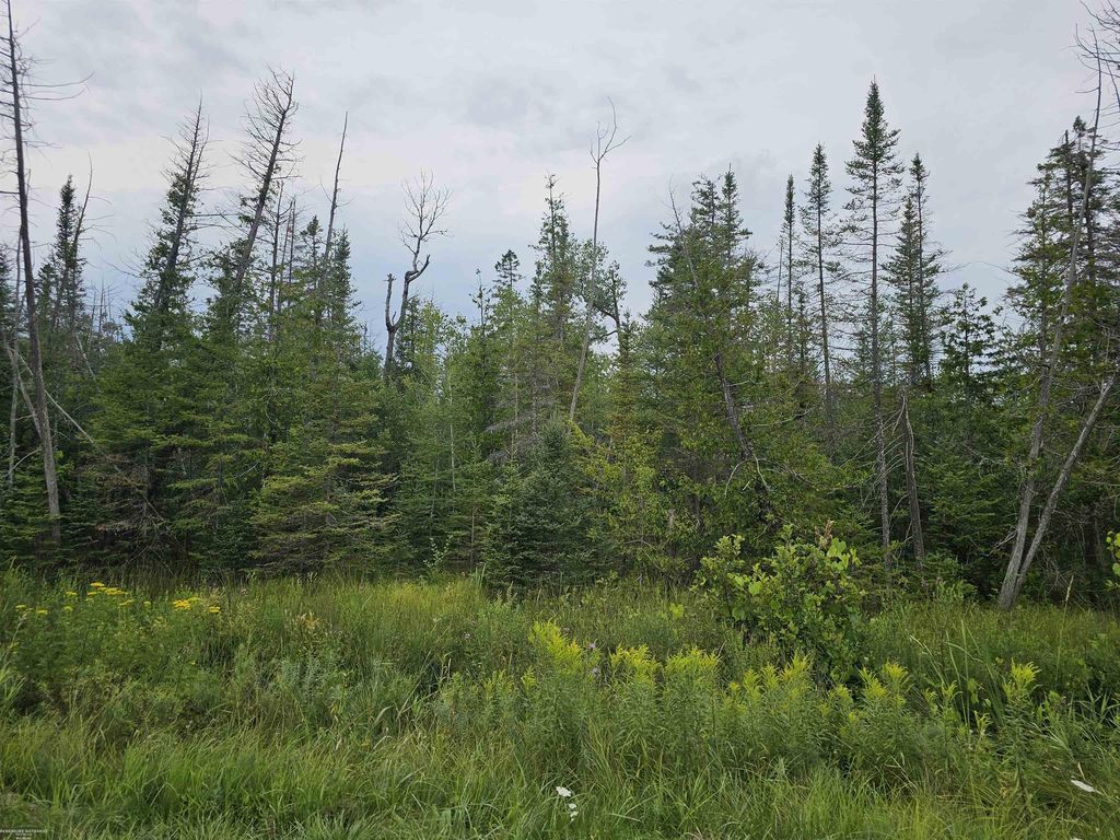 0 Bloom Rd, Alpena city