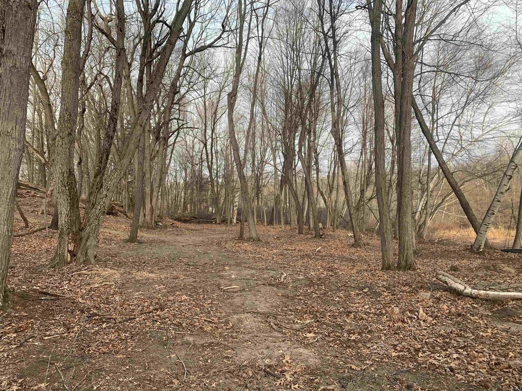 1439 Larkspur, Oxford charter township