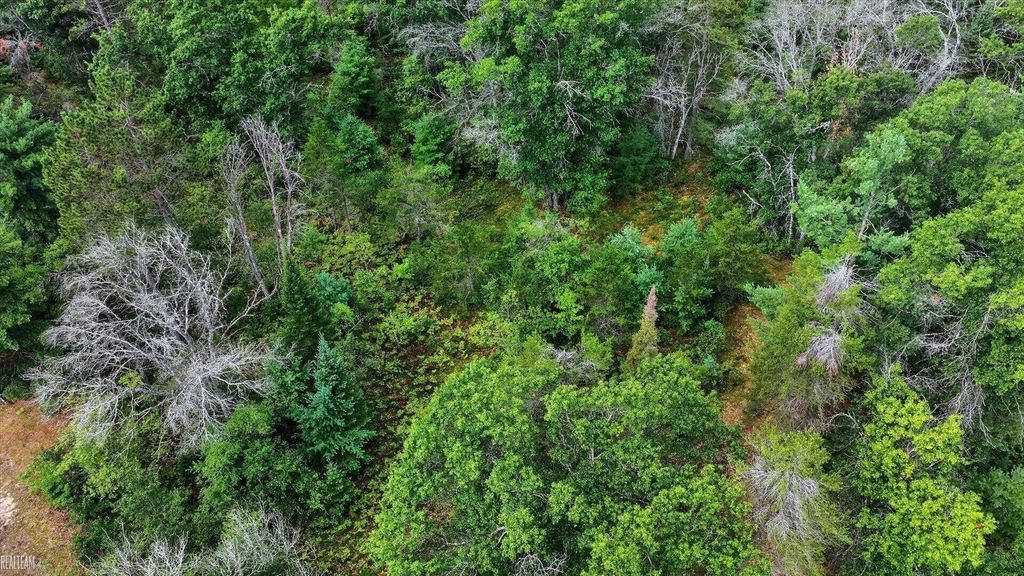 00 Valley Vista Lot 20 Dr, Big Creek township