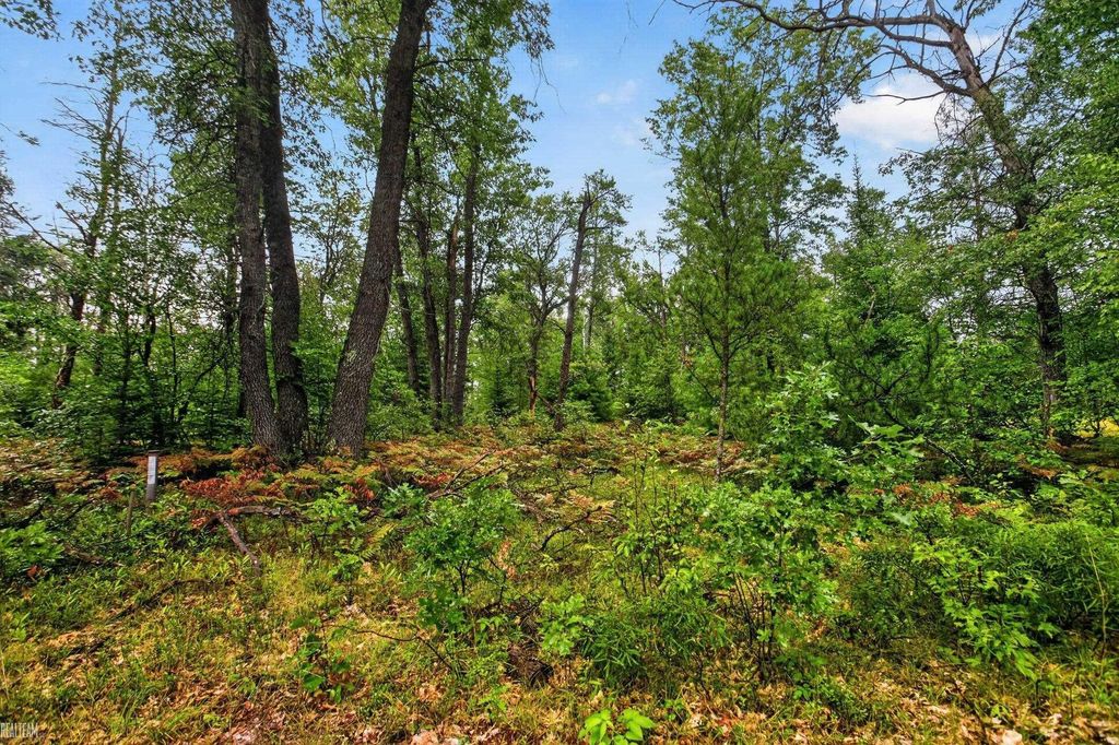 00 Valley Vista Lot 12 Dr, Big Creek township