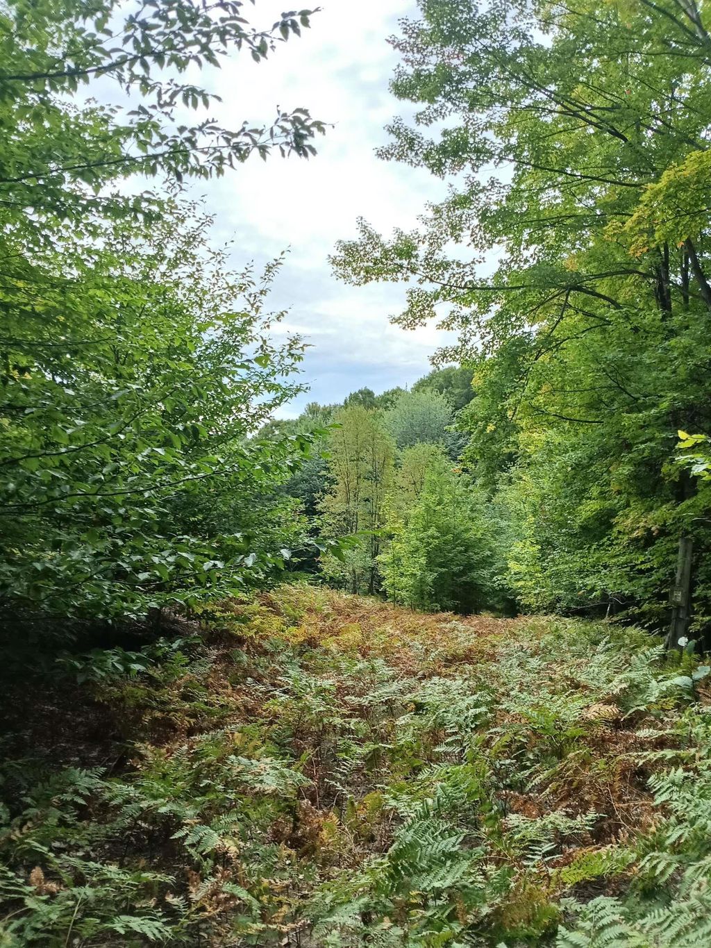 Tbd E Dietz Rd, Boyne City