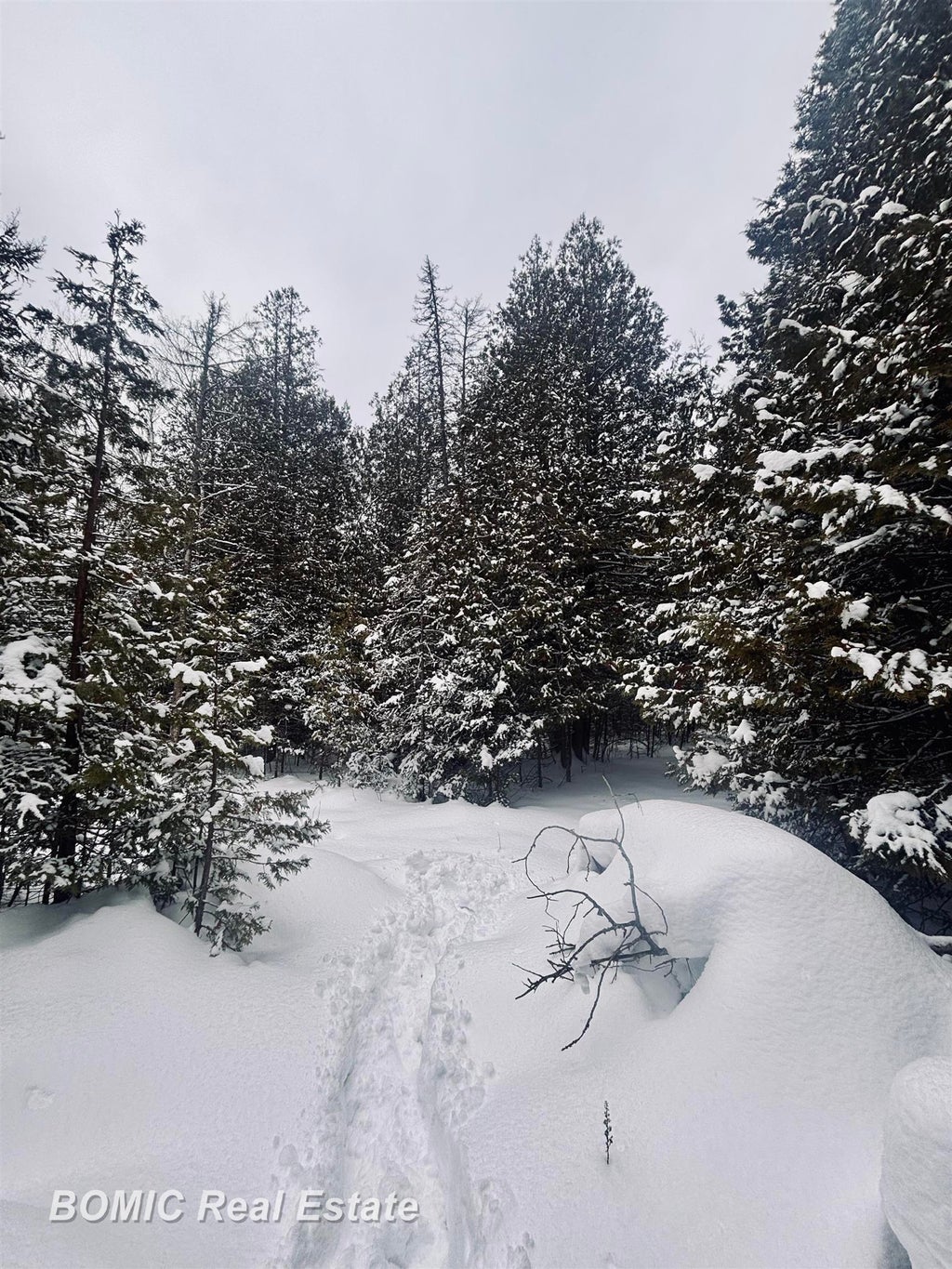 20130 E N Caribou Lake Rd, DeTour Village village