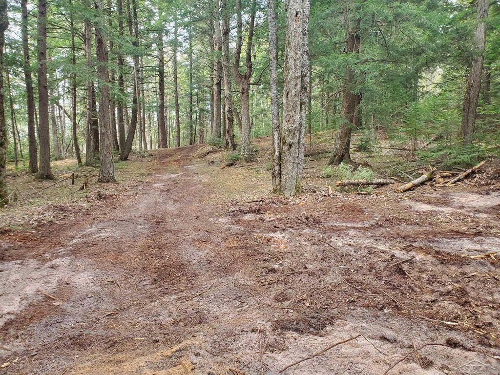 Old Plank Rd, Au Train township