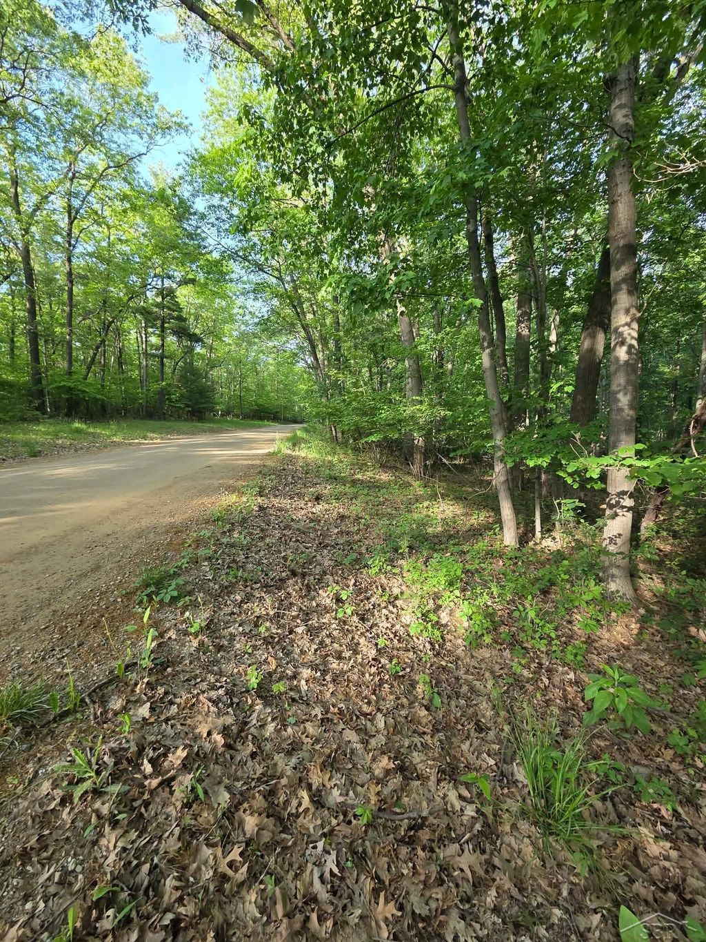 2531 Weaver Rd, Hume township