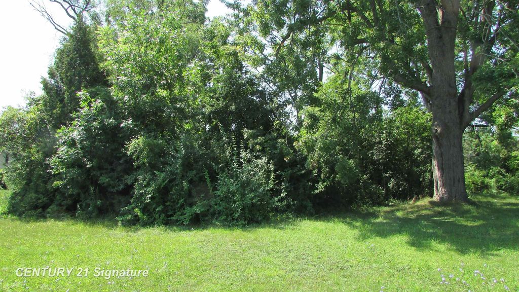 Parcel A Gratiot Rd, Saginaw charter township