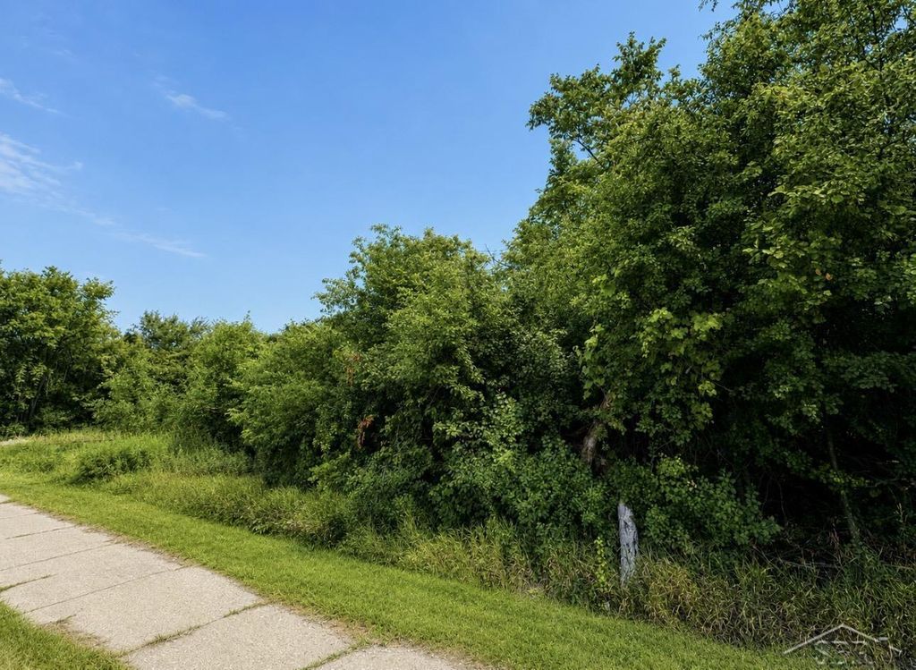 1838 S Warren Ave, Saginaw city