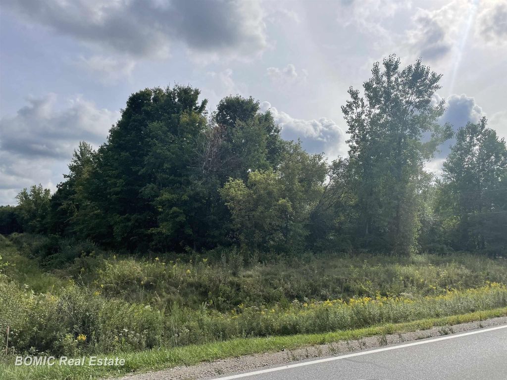9157 Birch Run, Arbela township