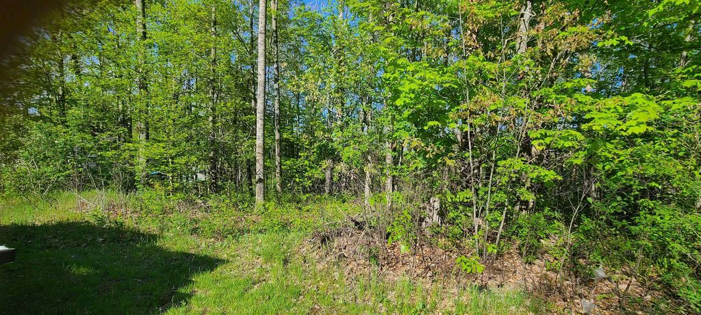 000 Montana St, Millen township