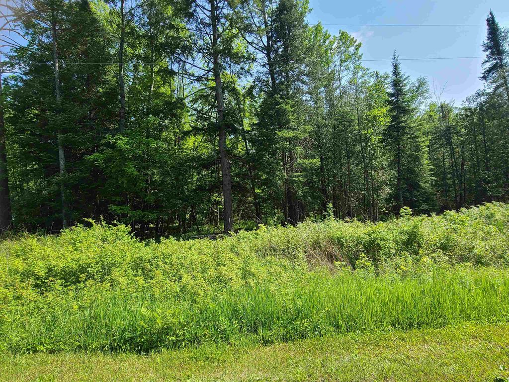 1281 W Trask Lake Rd, Millen township