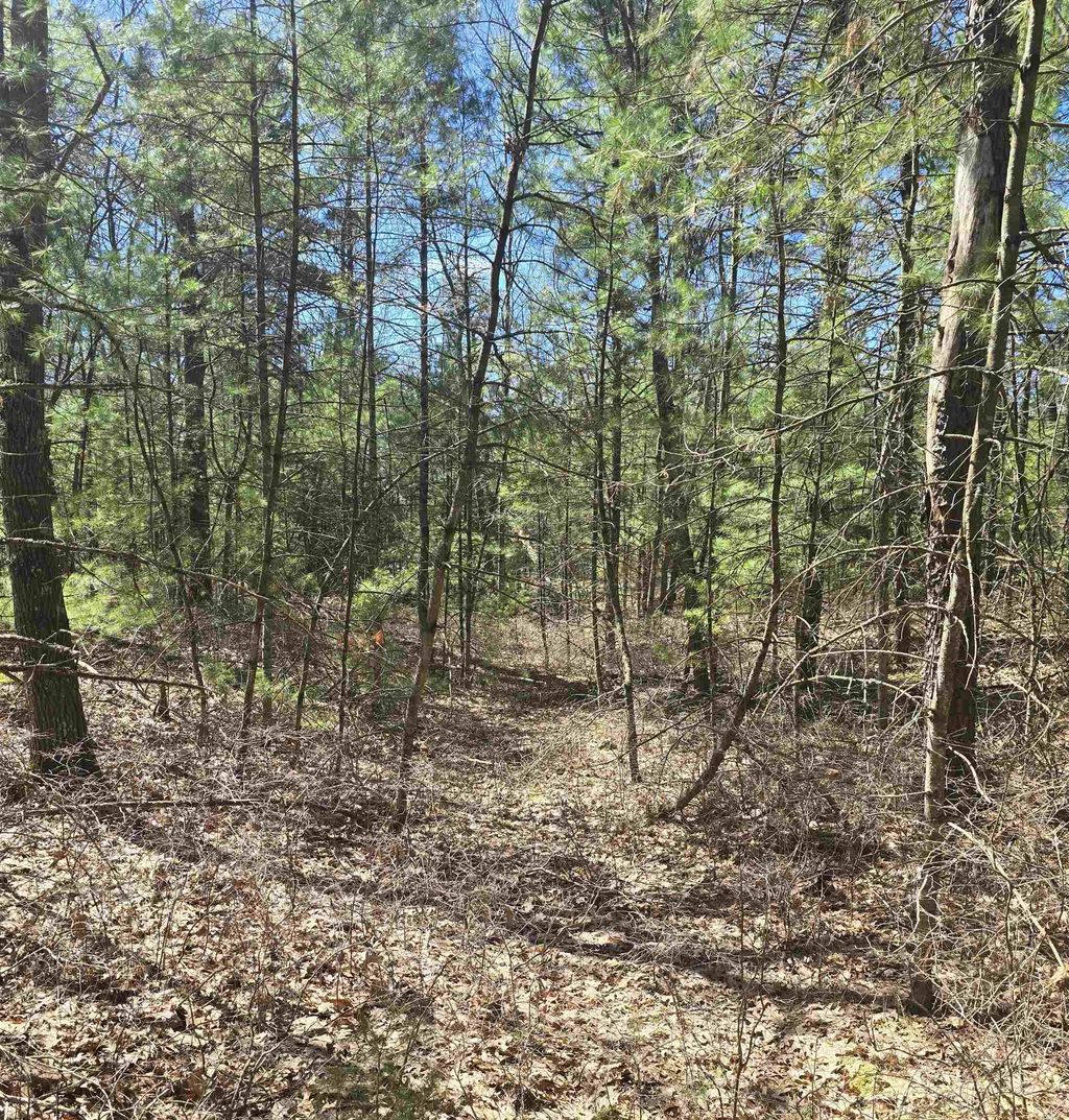 4699 Johnson, Au Sable charter township