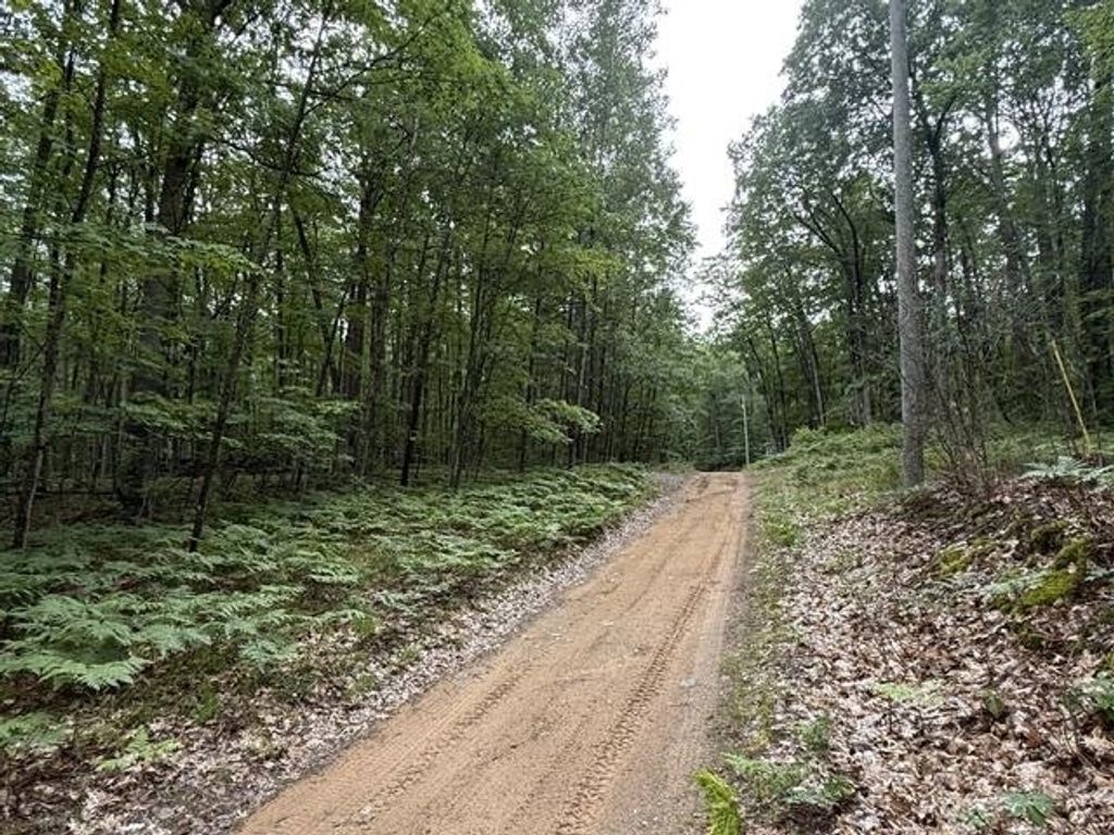 V/l Beechwood Dr, Lyon township
