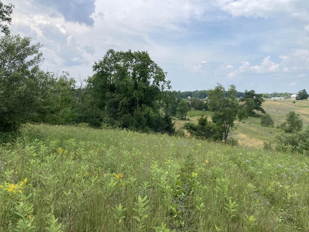 V/l-22a-m/l Mayhew, Rose township