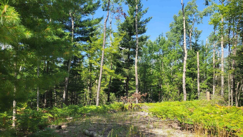 14542 Shoreline Dr, Nunda township