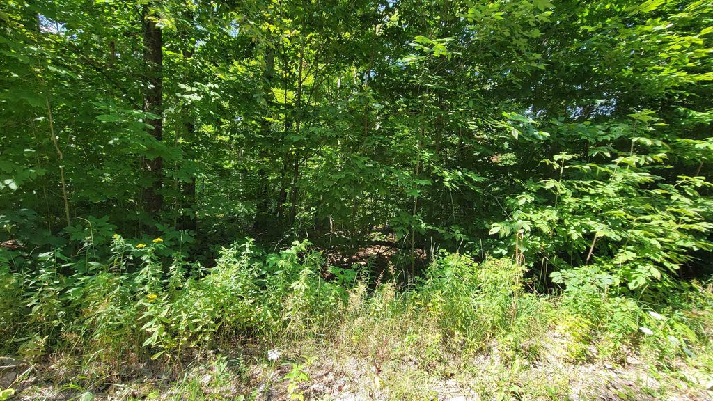 Vl Beechnut Ln, Nunda township