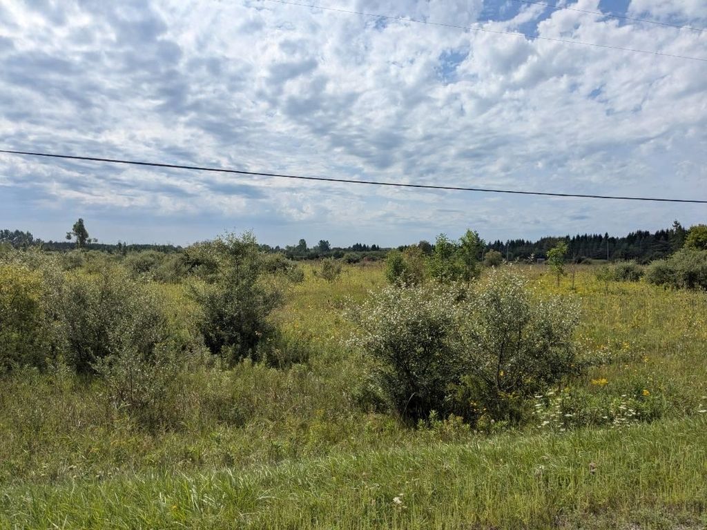 00 Curtis, Plainfield township