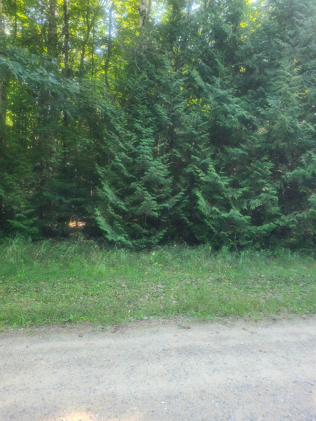 00 Birchwood, Oscoda charter township