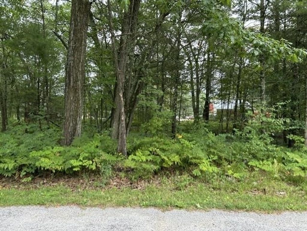 00 Wintergreen, East Tawas