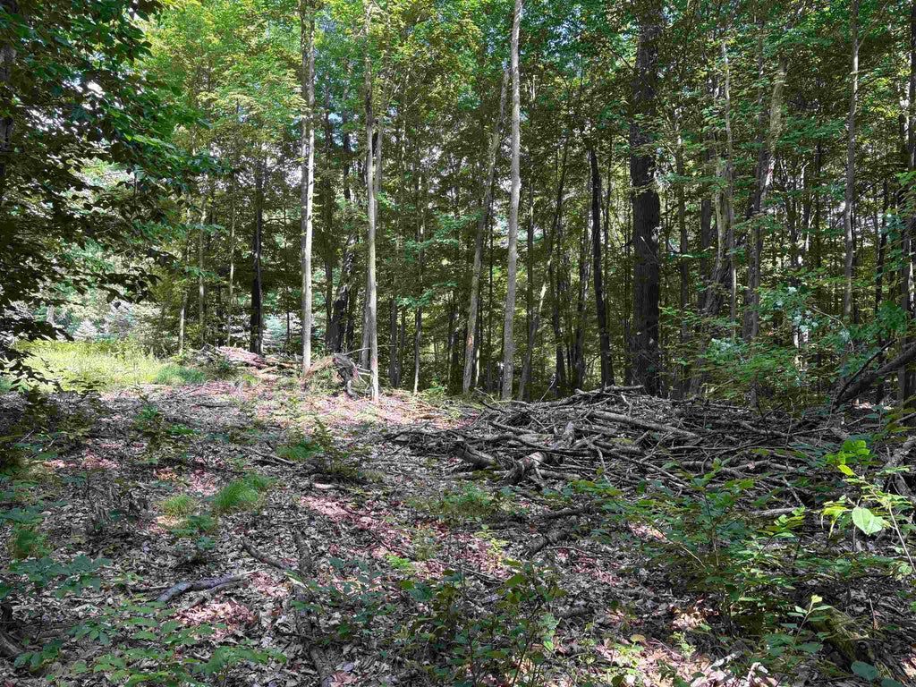 116 Knoll One, Rose Lake township