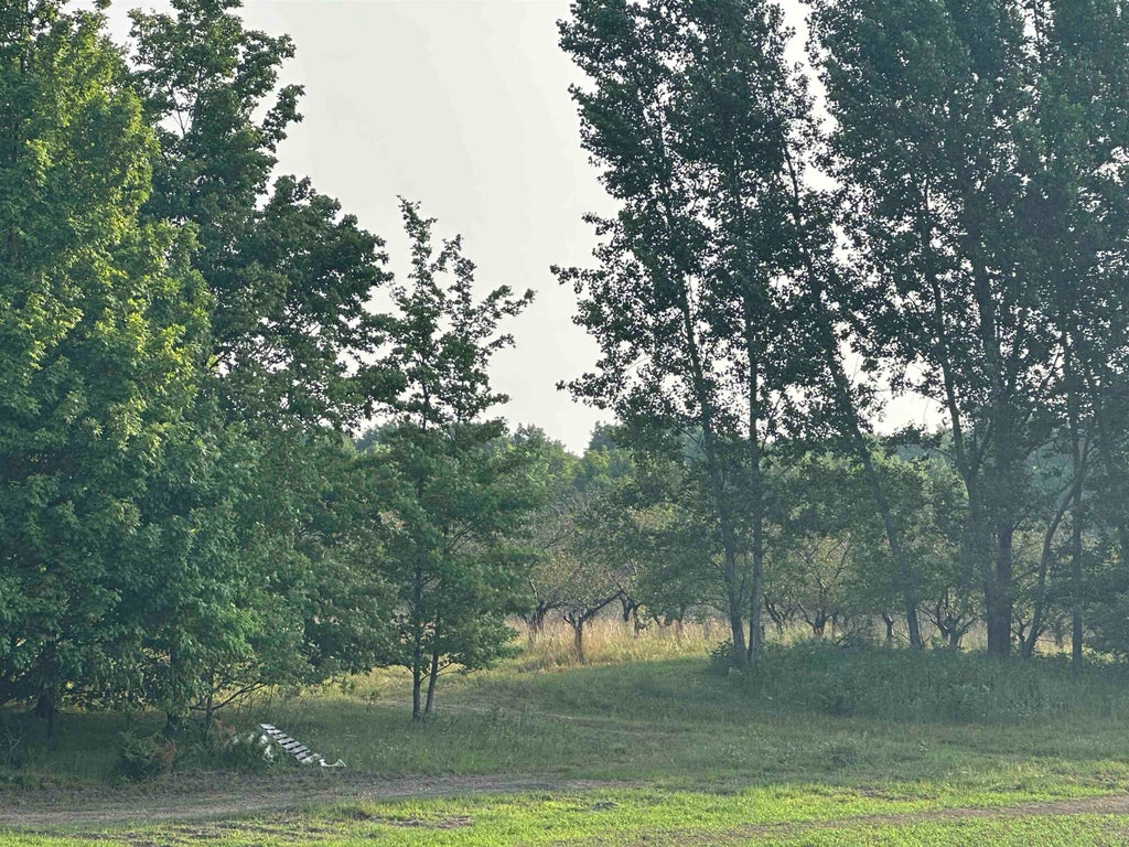 Parcel 6 Karnes Rd, Empire township