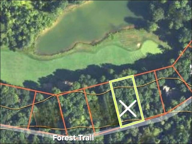 14 Forest, Custer township