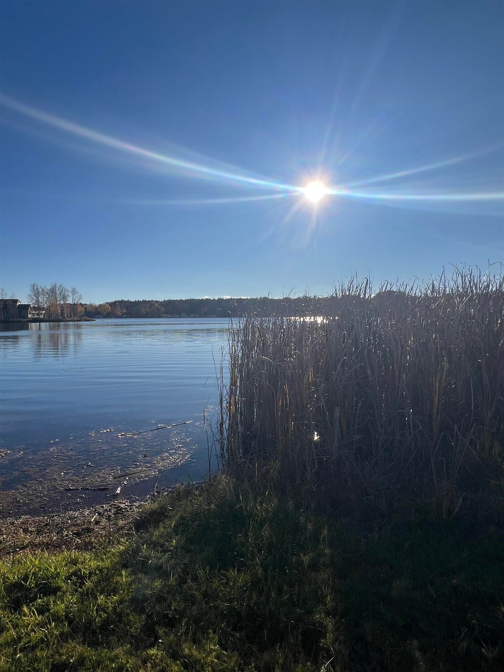 110 Brandy, Selma township