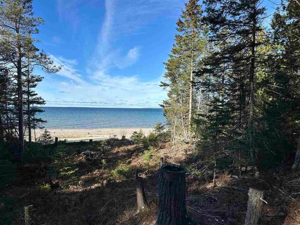 32010 Mrs Reddings Trl, Peaine township