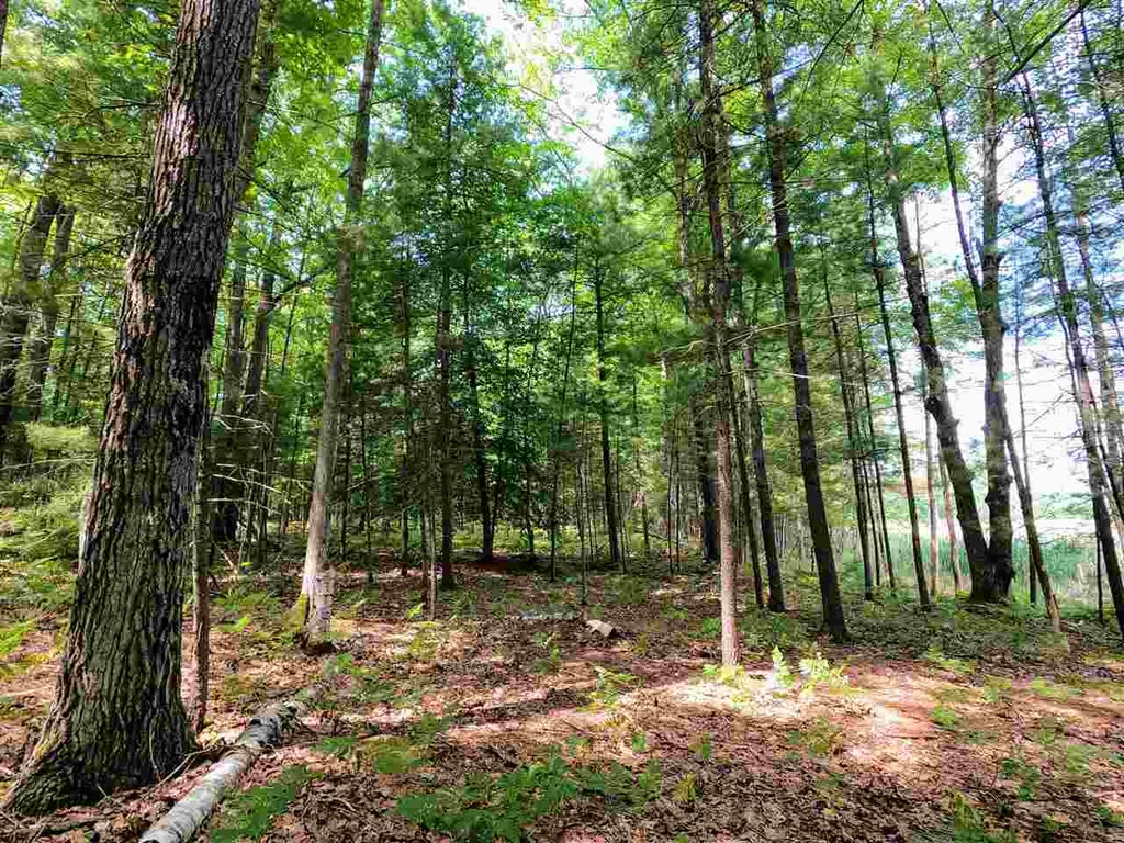 864 Se Blue Heron, Orange township