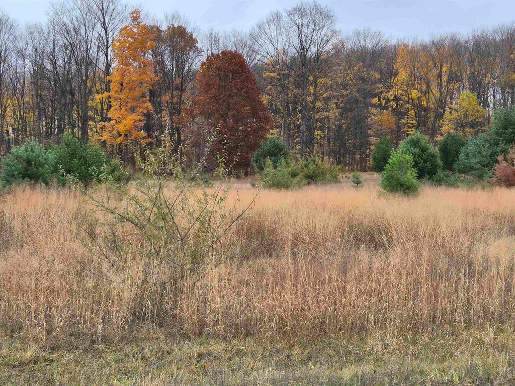 8980 Alden Mdws, Helena township