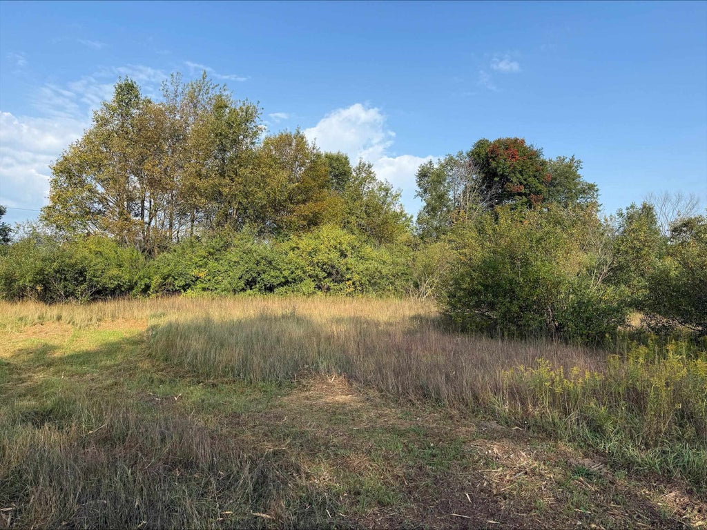 S Maple City, Kasson township