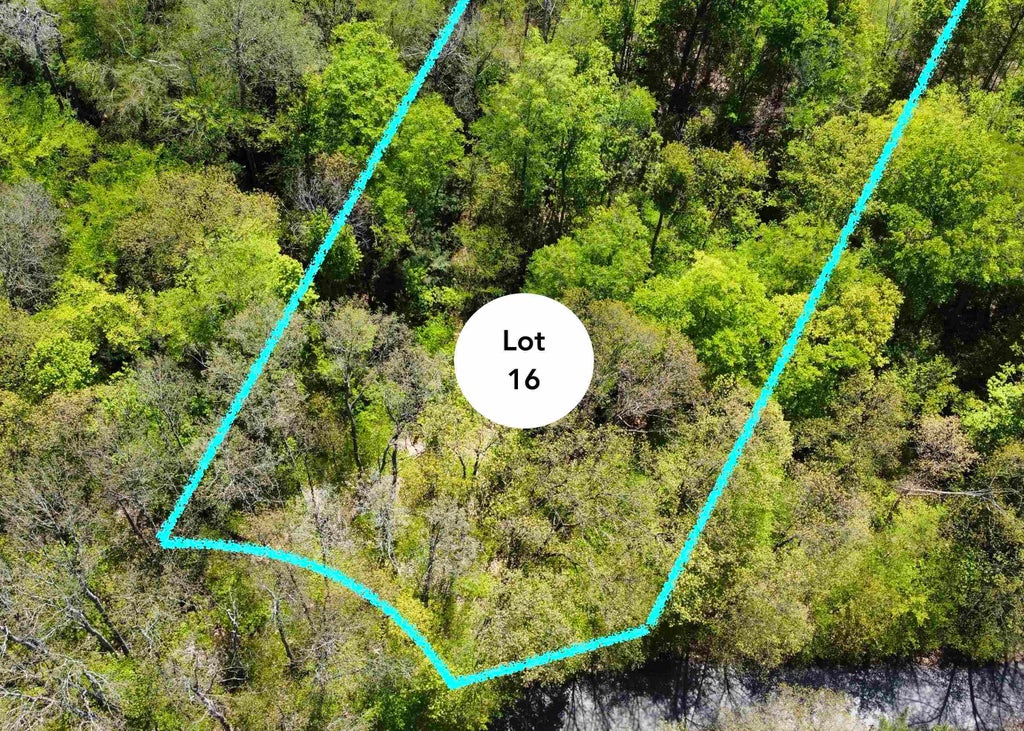 Lot 16 S Club, Cleveland township