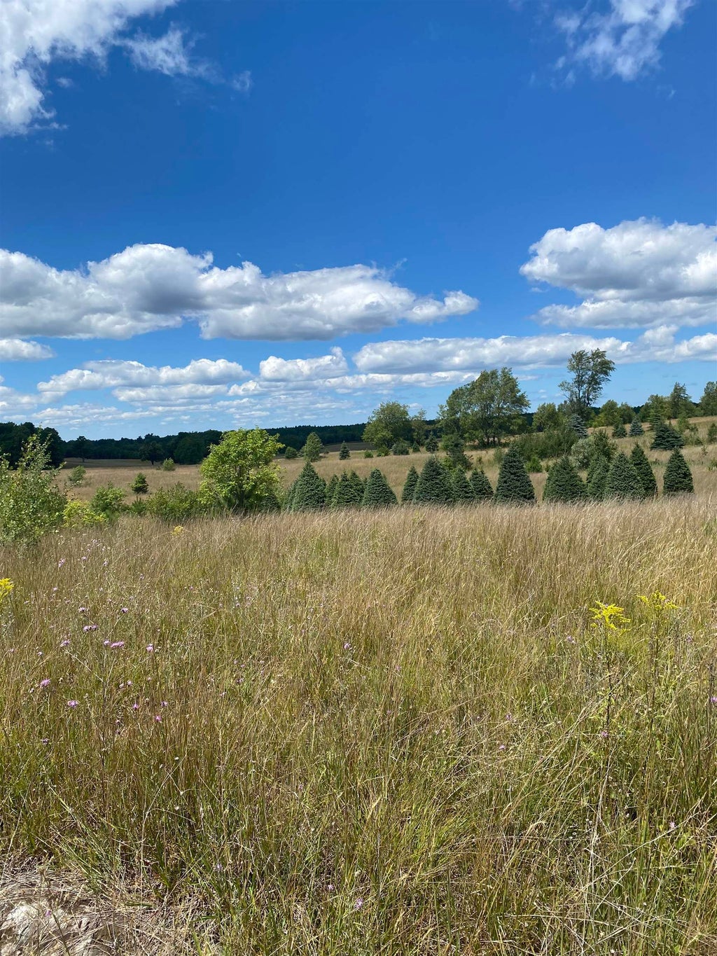 17.5 A Creighton Rd, Springfield township