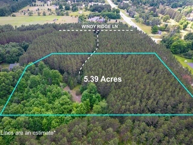 V/l Windy, Homestead township