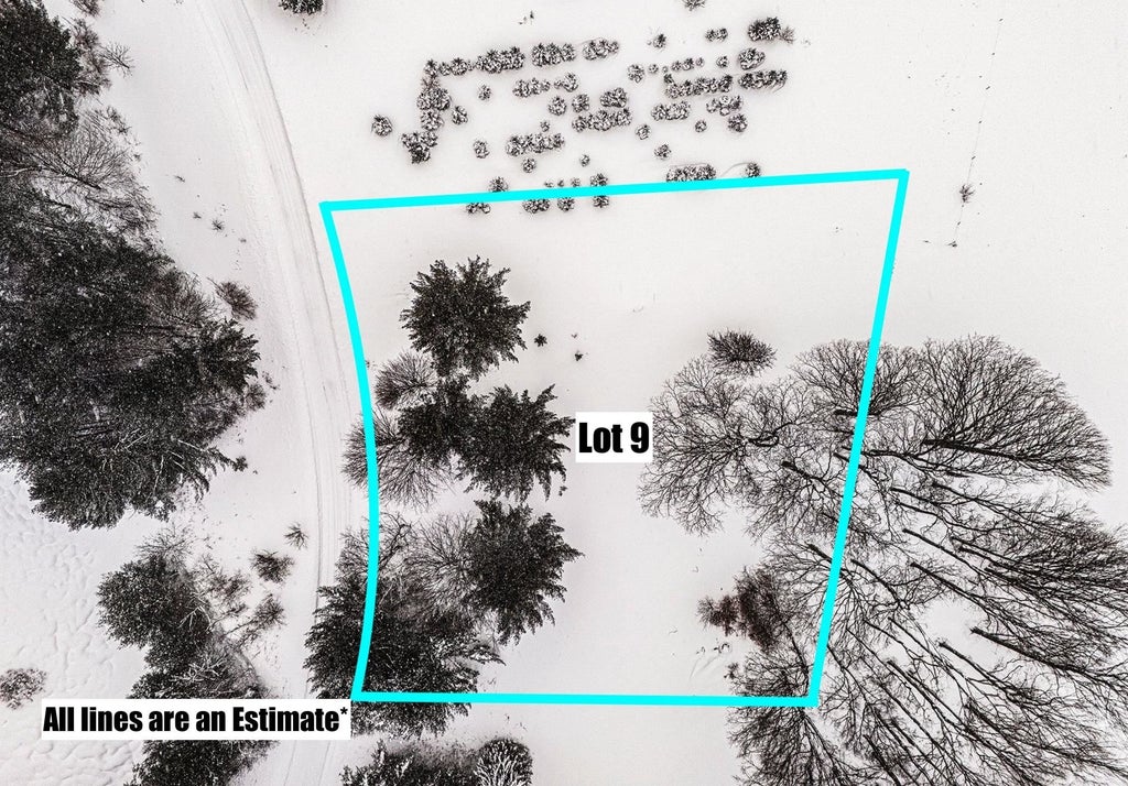 Lot #9 Kadi Ln, Almira township