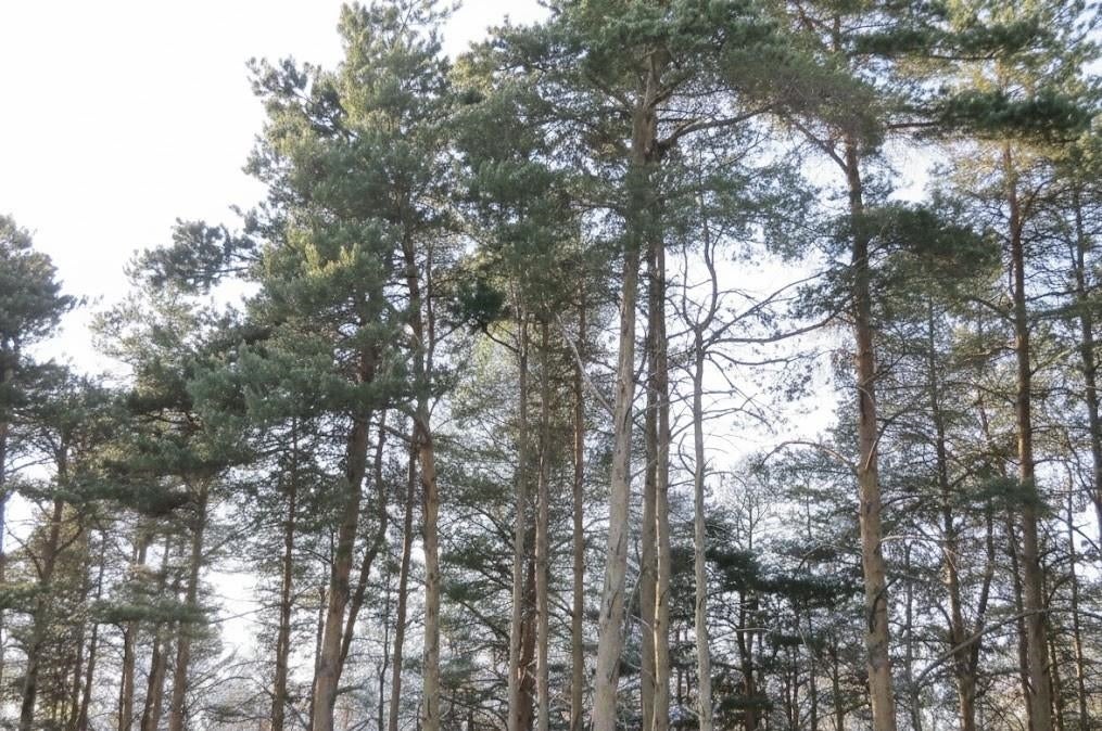 C Garfield Rd, Paradise township