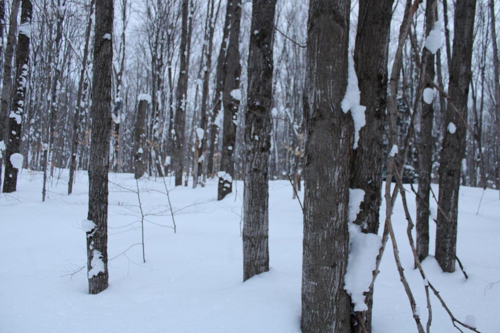 6583 Ne Boulder Ln, Coldsprings township